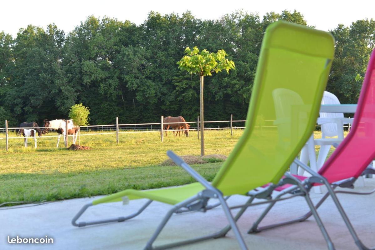 Gîte Équestre Domaine des Crins - Monpazier Capdrot Esterno foto